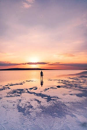 Incredible Salt Lake